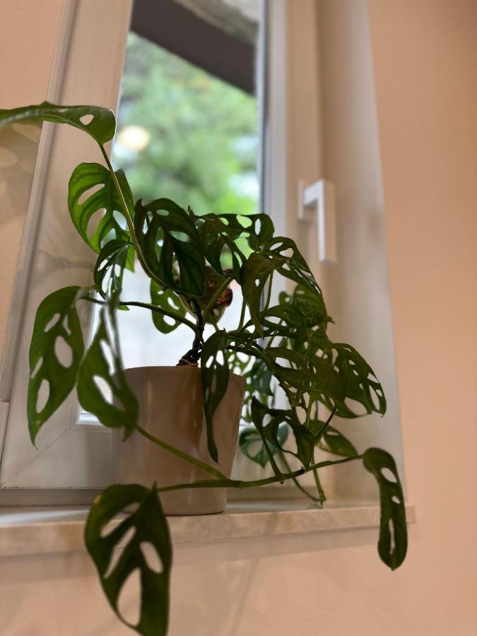 Olive View Apartment Brela Bagian luar foto