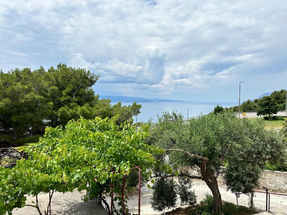 Olive View Apartment Brela Bagian luar foto
